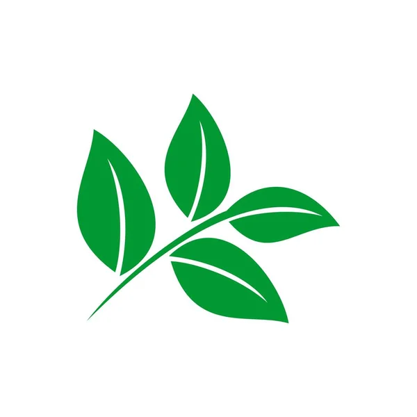 Modèle Logo Feuilles Vertes — Image vectorielle