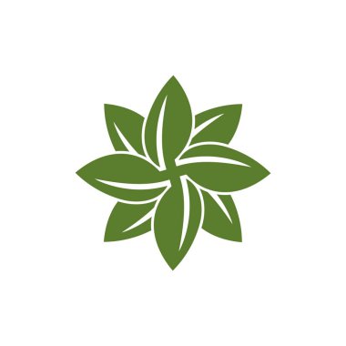 Yıldız çiçek süs işareti logo şablonu beyaz arka plan üzerinde