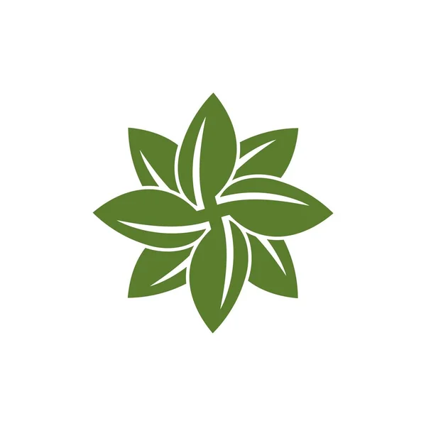 Star Flower Ornamental Sign Logo Template White Background — Stock Vector