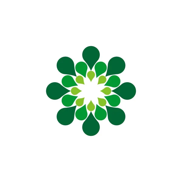 Plantilla Logotipo Signo Ornamental Flor Estrella Sobre Fondo Blanco — Vector de stock