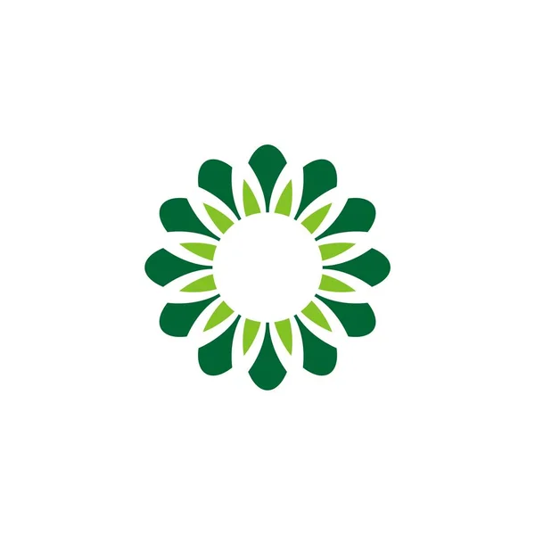 Stern Blume Zierzeichen Logo Vorlage Auf Weißem Hintergrund — Stockvektor