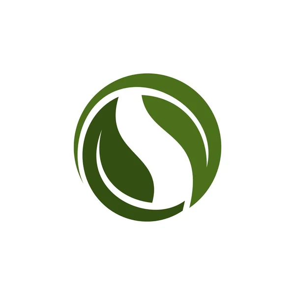 Modello Logo Foglia Verde — Vettoriale Stock