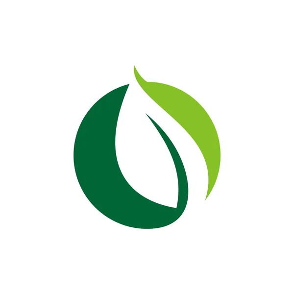 Foglia Cerchio Verde Modello Logo — Vettoriale Stock