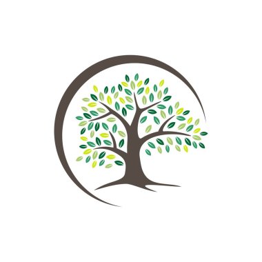 Yeşil ağaç yaprakları Logo şablonu