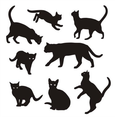 Kedi siluet vektör izole beyaz arka plan, farklı pozlar kedilerde ayarla.