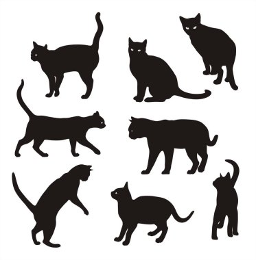 Kedi vektör siluet izole beyaz arka plan, farklı pozlar kedilerde ayarla.