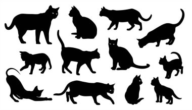 Kedi vector silhouettes izole beyaz arka plan, farklı pozlar kedilerde ayarla.