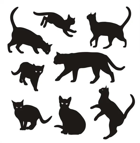 Kat Silhouet Vector Instellen Geïsoleerd Witte Achtergrond Katten Verschillende Poses — Stockvector