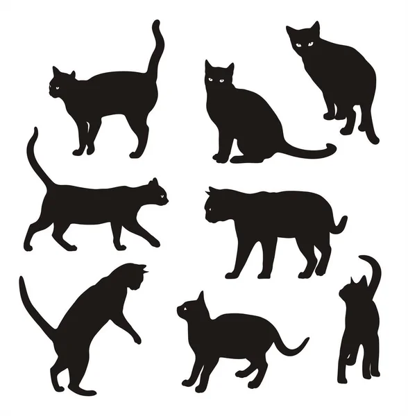 Conjunto Silueta Vector Gato Aislado Sobre Fondo Blanco Gatos Diferentes Ilustración De Stock