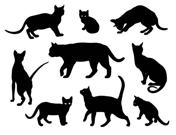 Cat Vector Silhouette Set Isolated White Background Cats Different Poses — Stock Vector