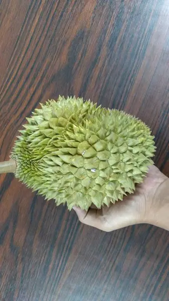 Tangan Memegang Gambar Kabur Durian — Stok Foto