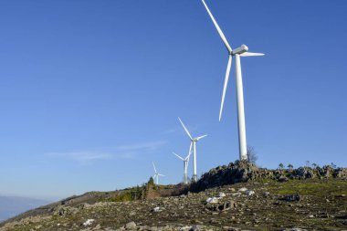 Rüzgar bıçakları