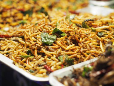  Gevrek bambu Caterpillar kızarmış böcekler Entomophagy