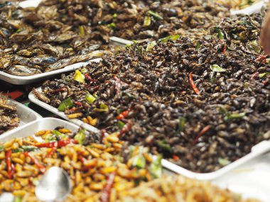 Gevrek kriket kızarmış böcekler Entomophagy lezzetli