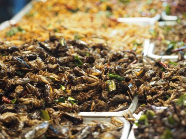 Gevrek kriket kızarmış böcekler Entomophagy lezzetli