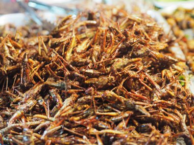 Düz kanatlılar kızarmış böcekler Entomophagy gevrek