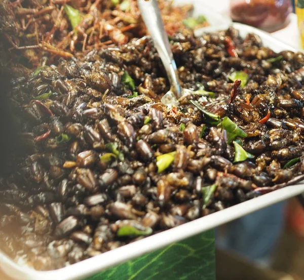 Gevrek Coleoptera kızarmış böcekler Entomophagy