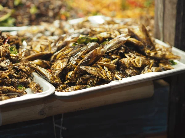 at nalı yengeci kızarmış böcekler Entomophagy lezzetli çıtır