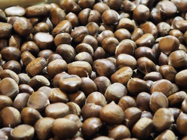 Kıdemli kahverengi sert kabuklu meyve kavrulmuş 