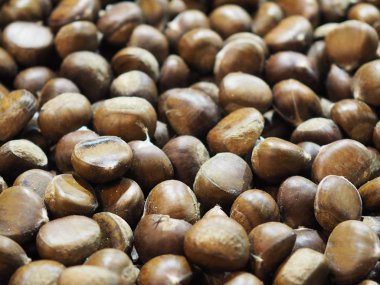 Kıdemli kahverengi sert kabuklu meyve kavrulmuş 