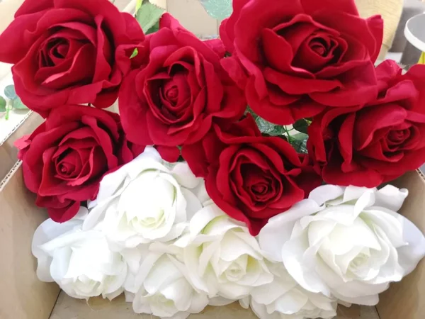 Červené Bílé Růže Láska Valentine Den Ručně — Stock fotografie
