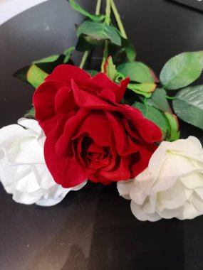  siyah arka planda sevgi Sevgililer günü kırmızı ve beyaz gül çiçek 