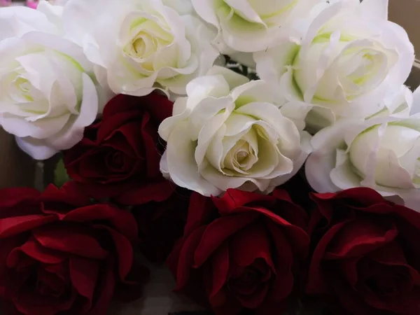 Biało Czerwonych Róż Walentynki Miłość — Zdjęcie stockowe