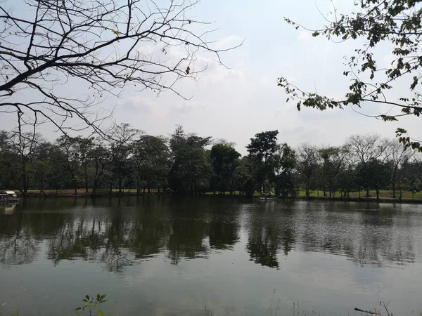 Reflejar Sombra Sombra Árbol Espejo Agua Lago Entorno Parque Fondo —  Fotos de Stock