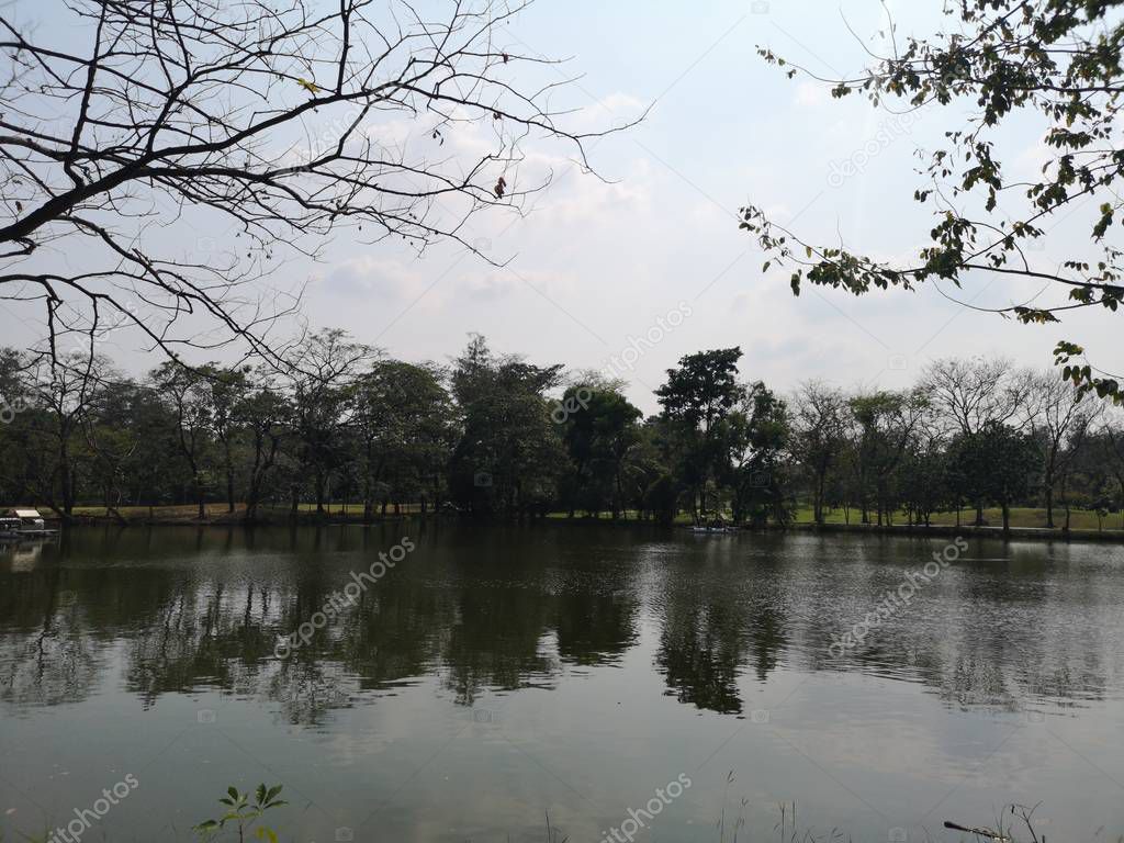 Reflect shade and shadow tree mirror on water lake environment park background nature 