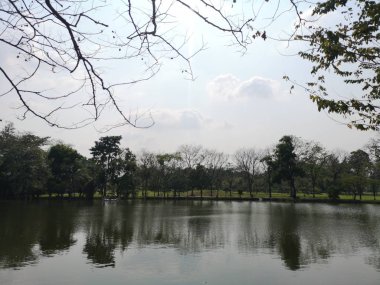 Su göl ortamı park doğa arka plan doğa gölge ve gölge ağacı ayna yansıtacak 