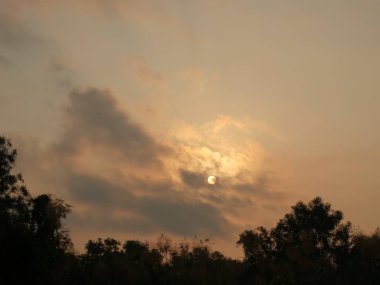 Gökyüzü bulutlu güneş orada parlayan bir bulut gökyüzü ve gölge ağacında vardır