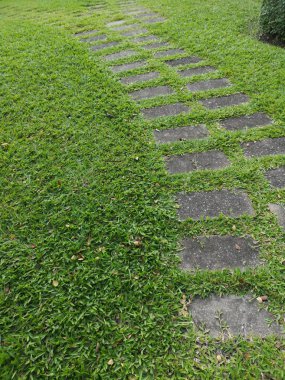 Çim desen malzeme kaldırım kaldırım yol geçit üzerinde geçit park çimento bloğunda yer 