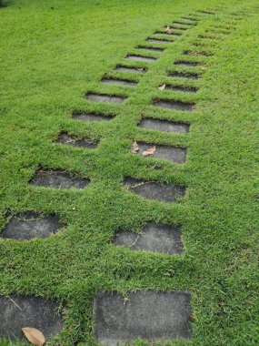 Çim desen malzeme kaldırım kaldırım yol geçit üzerinde geçit park çimento bloğunda yer 
