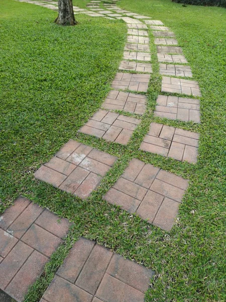 Walkway Park Brick Block Placed Grass Pattern Material Pavement Sidewalk — Stock Photo, Image