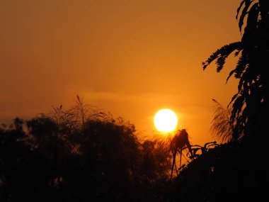 Sunrise ormanın gölgesi arkasında