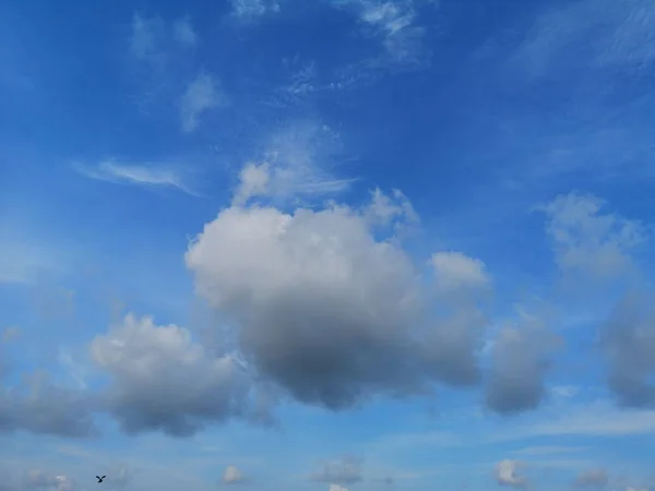 Uccello Volare Nuvole Bianche Nel Cielo Blu Nuvoloso Sfondo Naturale — Foto Stock