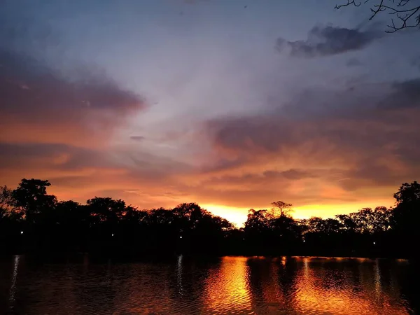 Pôr Sol Noite Atrás Sombra Árvore Negra Refletir Lago — Fotografia de Stock