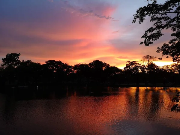 Coucher Soleil Soir Derrière Ombre Arbre Noir Refléter Lac — Photo