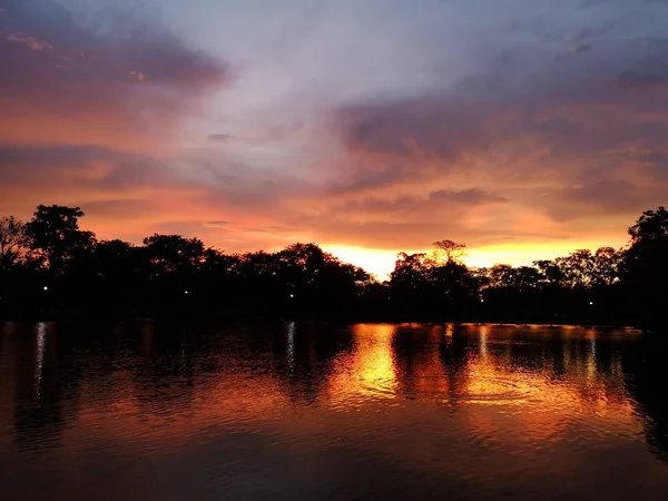 Coucher Soleil Soir Derrière Ombre Arbre Noir Refléter Lac — Photo