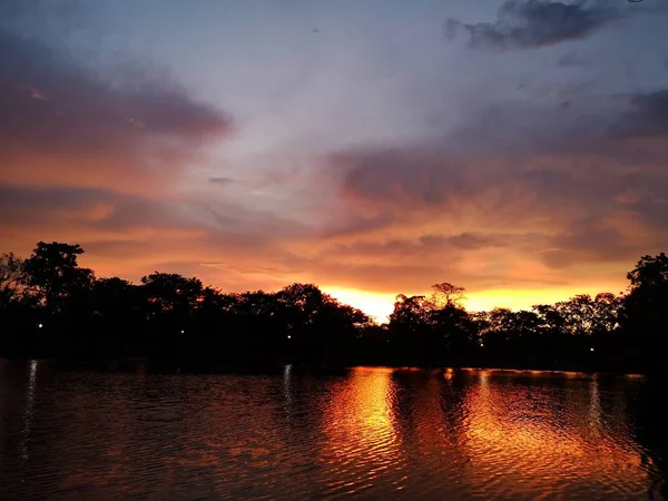 Coucher Soleil Soir Derrière Ombre Arbre Noir Reflet — Photo