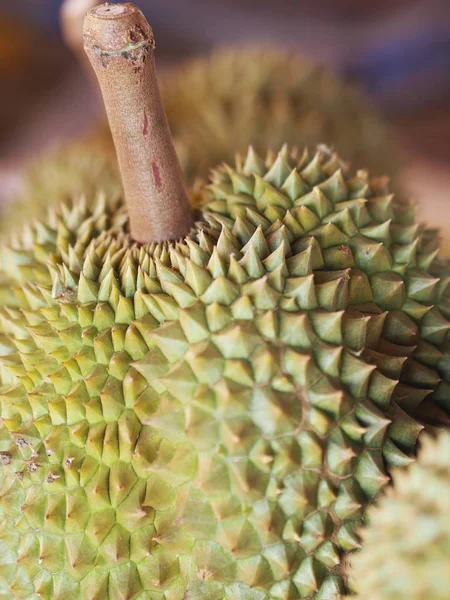 Durian Thai Fruit Have Sharp Thorn — Stok Foto