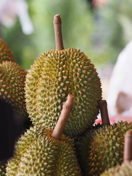 Durian Tajskie Owoce Mają Ostry Cierń — Zdjęcie stockowe