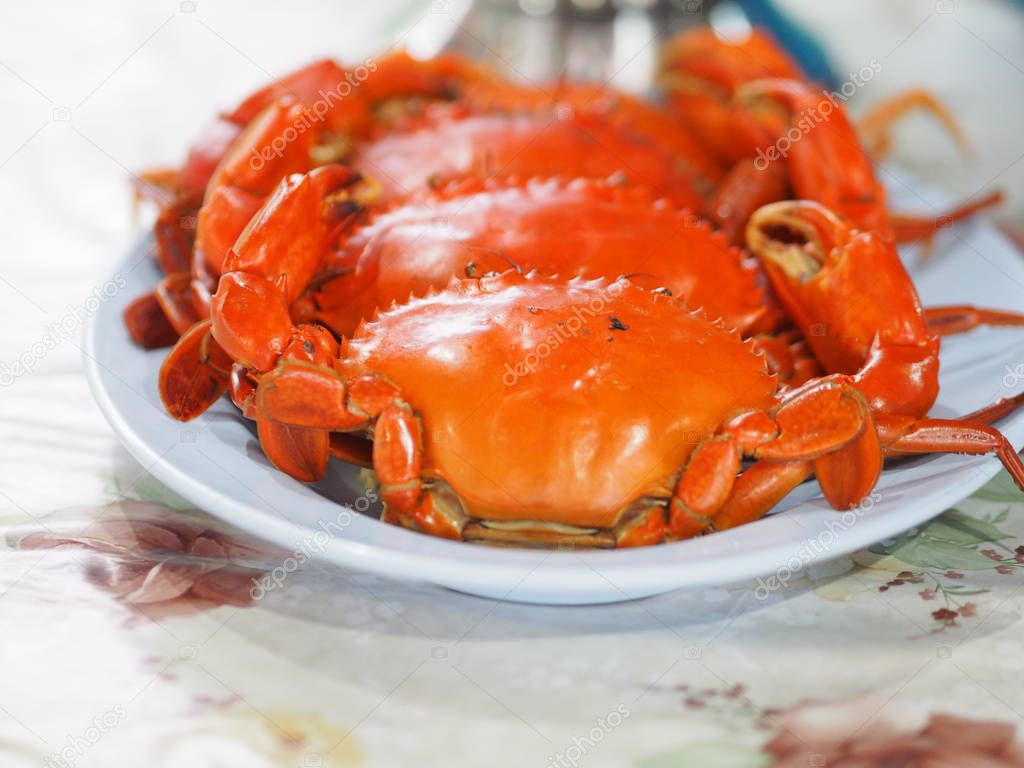 Steamed crab on the blue plate sea food
