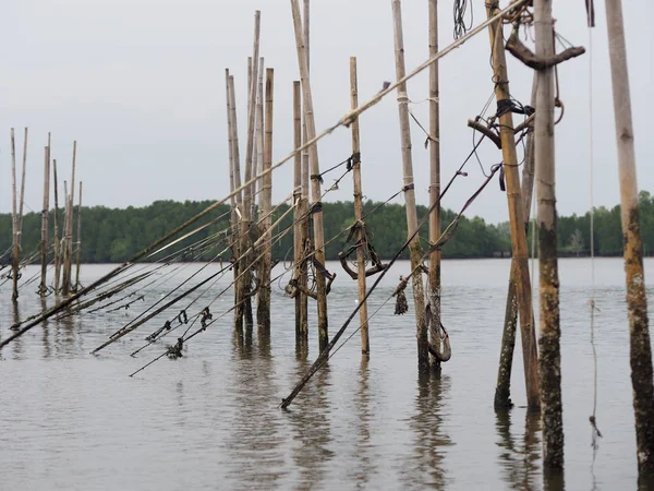 Bamboo poles adhered to the net for catch fish reflection in the water sea environment background