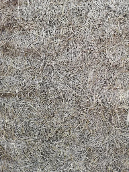 rice straw chaff wall background texture material