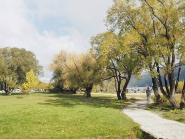 Yaprak renk değişikliği çevre doğa parkı