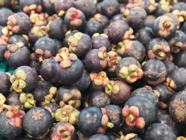 Mangosten'in mor bir kabuğu var, beyaz bir et.