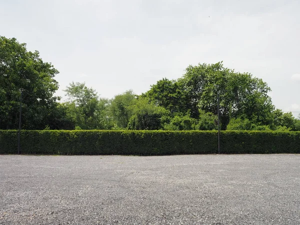 Parking lot sprinkled with gravel bush tree nature background