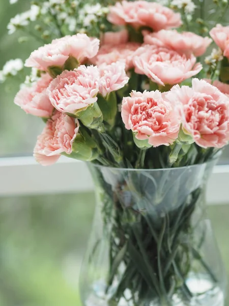 pink carnation in a glass vase set on the table window background