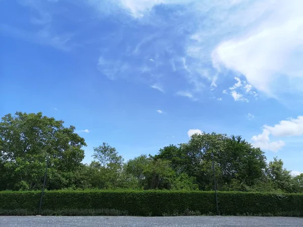 Парковка Посыпанная Гравием Кустах Деревьев Природный Фон Белое Облако Голубом — стоковое фото